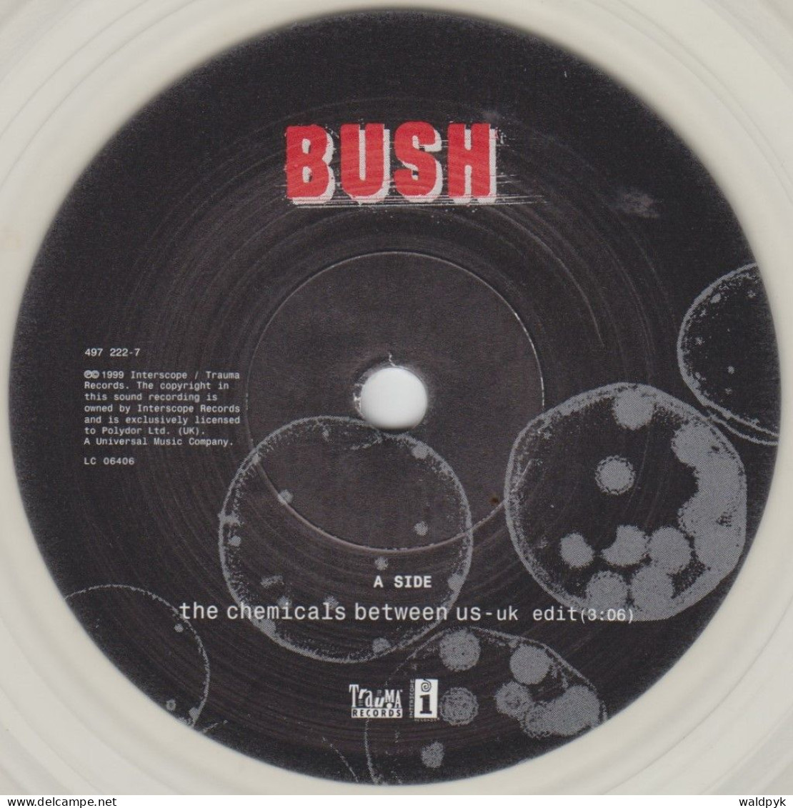 BUSH - The Chemicals Between Us - Otros - Canción Inglesa