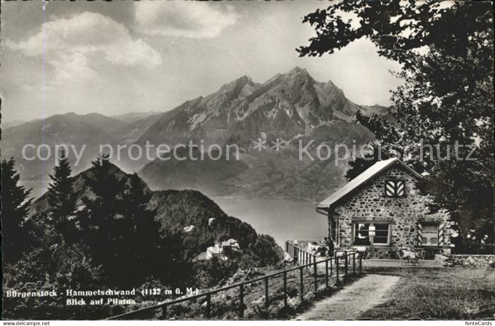 11728800 Buergenstock Hammetschwand Mit Pilatus Buergenstock - Autres & Non Classés