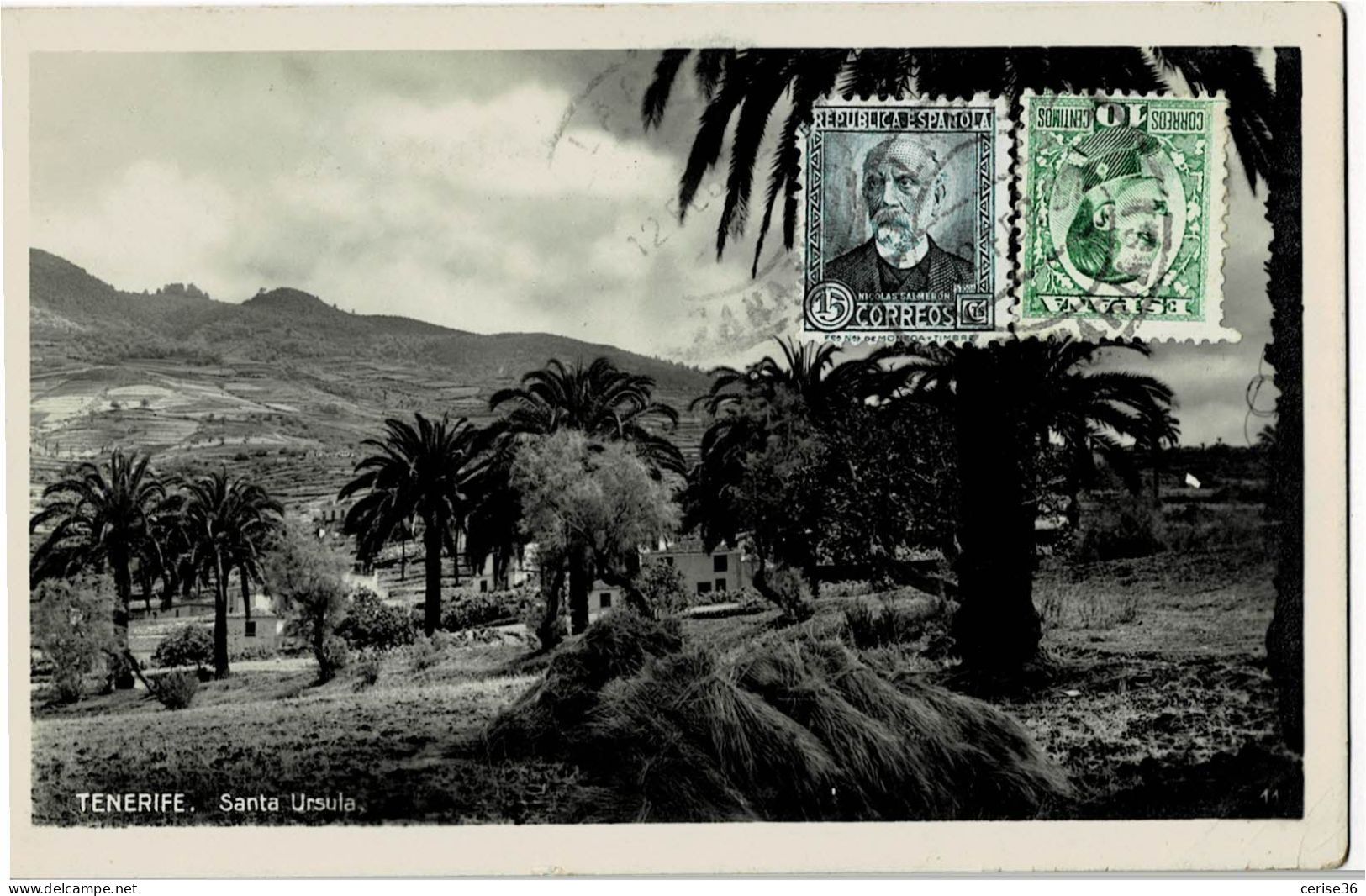 Photo Carte De Tenerife Santa Ursula Circulée En 1932 - Tenerife