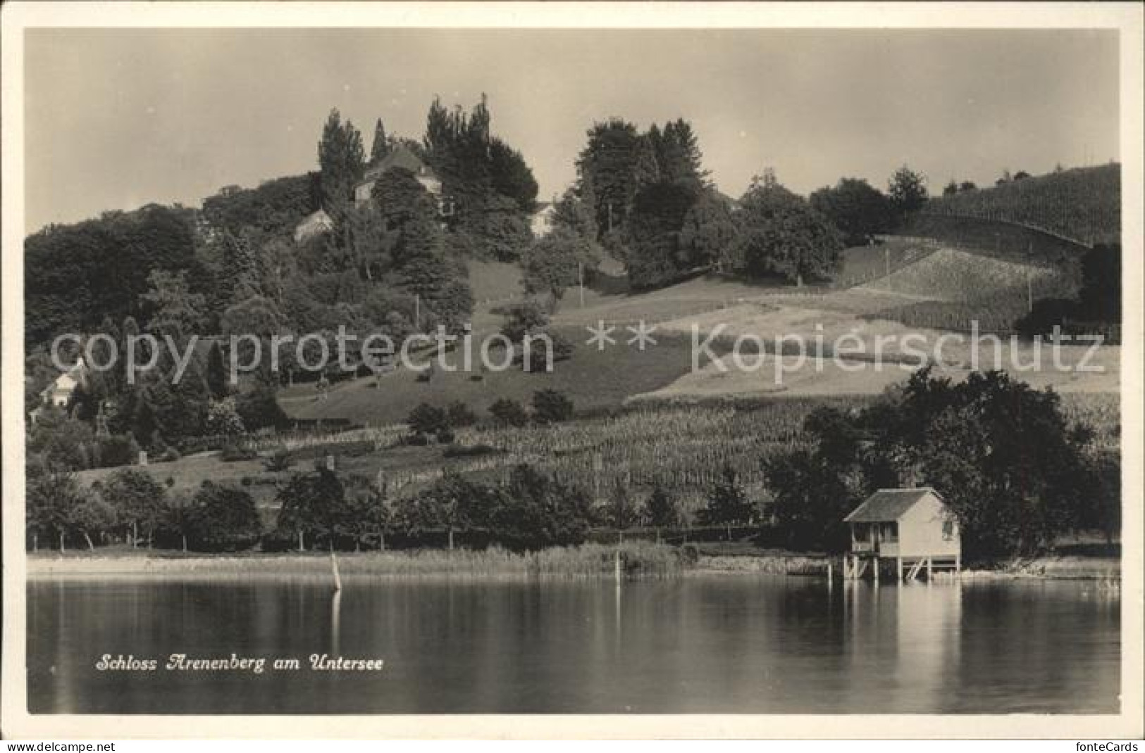 11726711 Salenstein TG Schloss Arenenberg Am Untersee Salenstein TG - Otros & Sin Clasificación