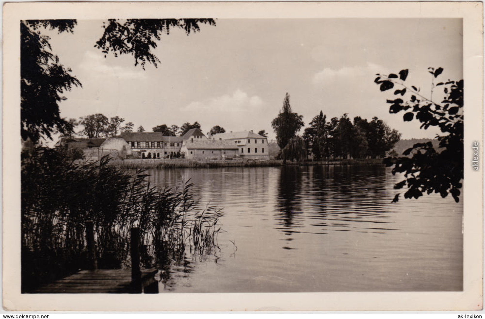 Teupitz Teupitzsee Mit Ehemaligem Schloss Foto Ansichtskarte  1960 - Teupitz