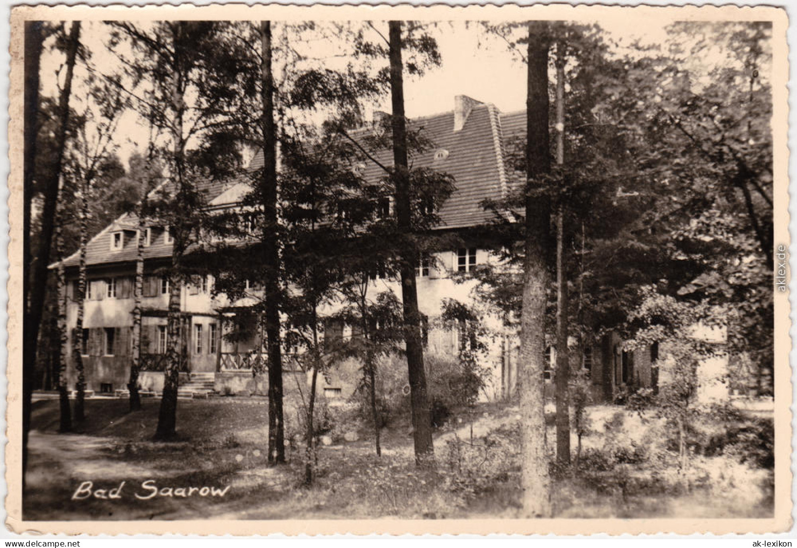 Bad Saarow Partie Am Kurhaus Im Wald Ansichtskarte 1959 - Bad Saarow