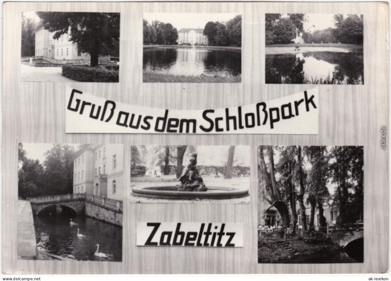 Zabeltitz Großenhain Schloßpark Foto Ansichtskarte  1971 - Grossenhain