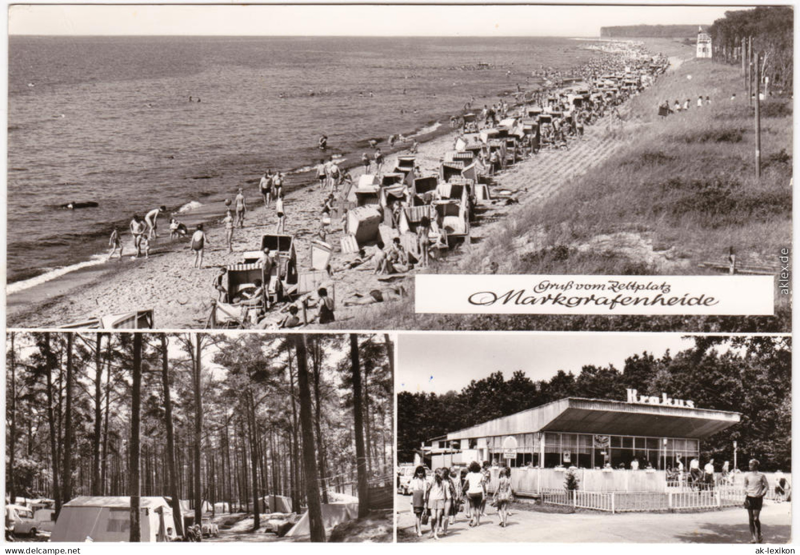 Markgrafenheide Rostock Zeltplatz Foto Ansichtskarte  1983 - Rostock