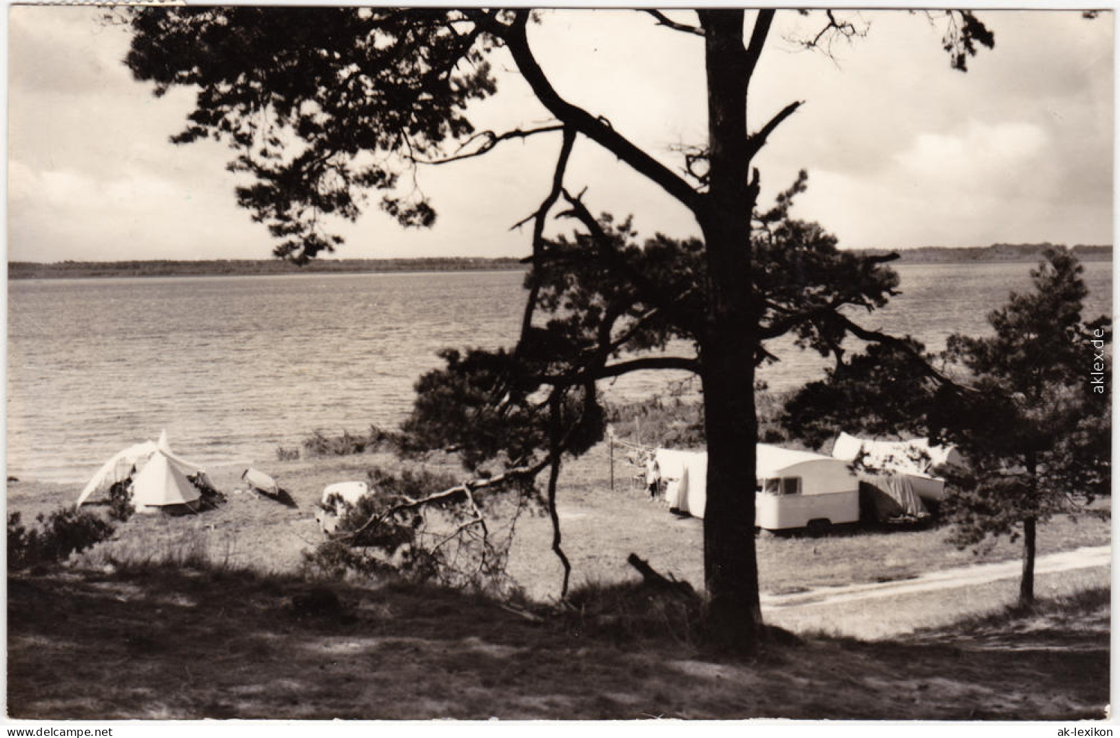 Foto Ansichtskarte Plau (am See) Zeltplatz Am Plauer See 1969 - Plau