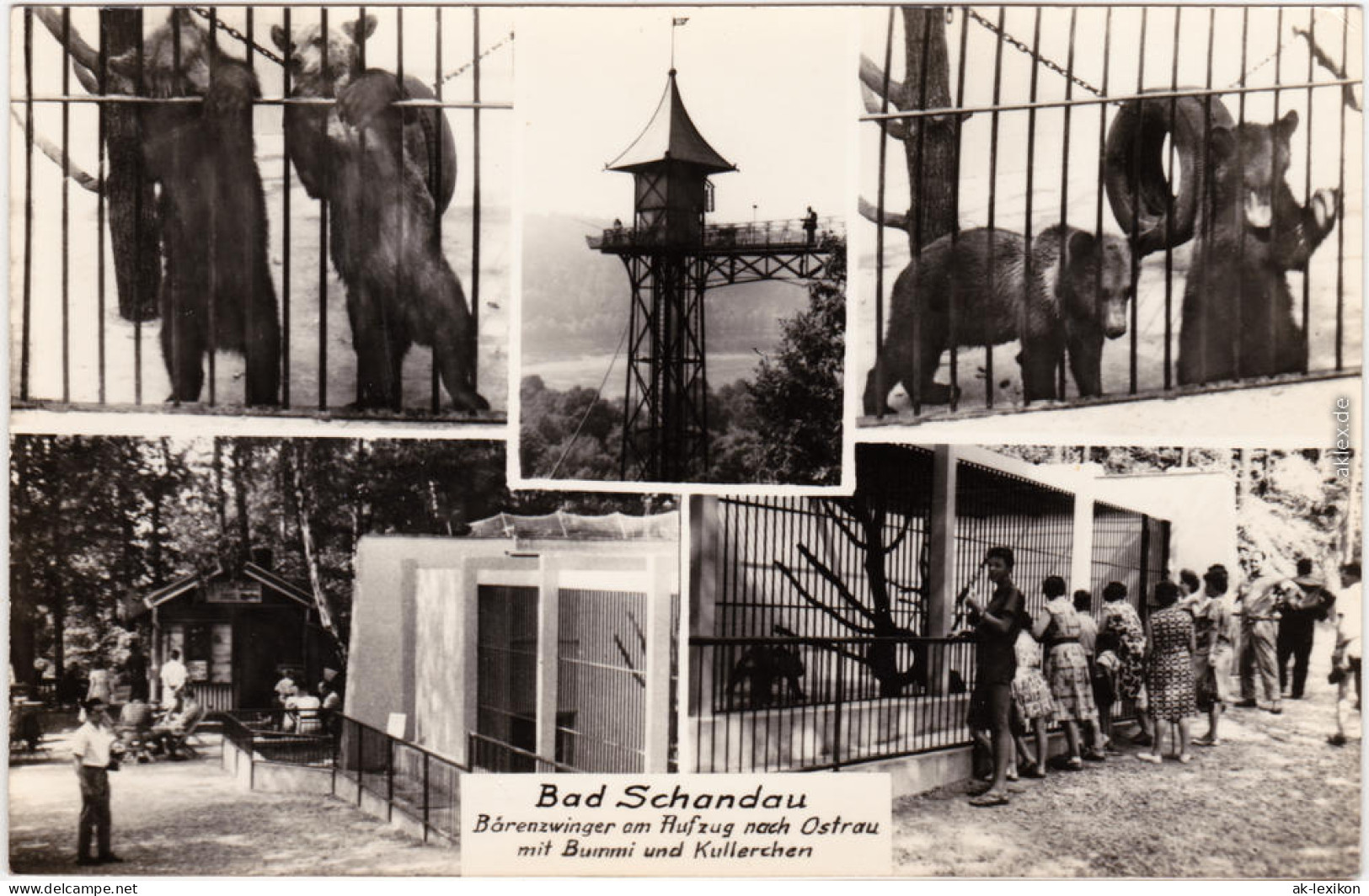 Bad Schandau Bärenzwinger  Aufzug Nach Ostrau Mit Bummi Und Kullerchen 1972 - Bad Schandau