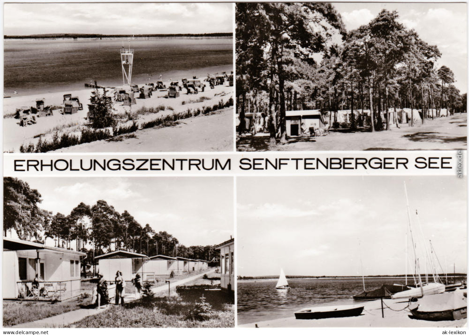 Senftenberg (Niederlausitz)   Senftenberger See Foto Ansichtskarte  1980 - Senftenberg
