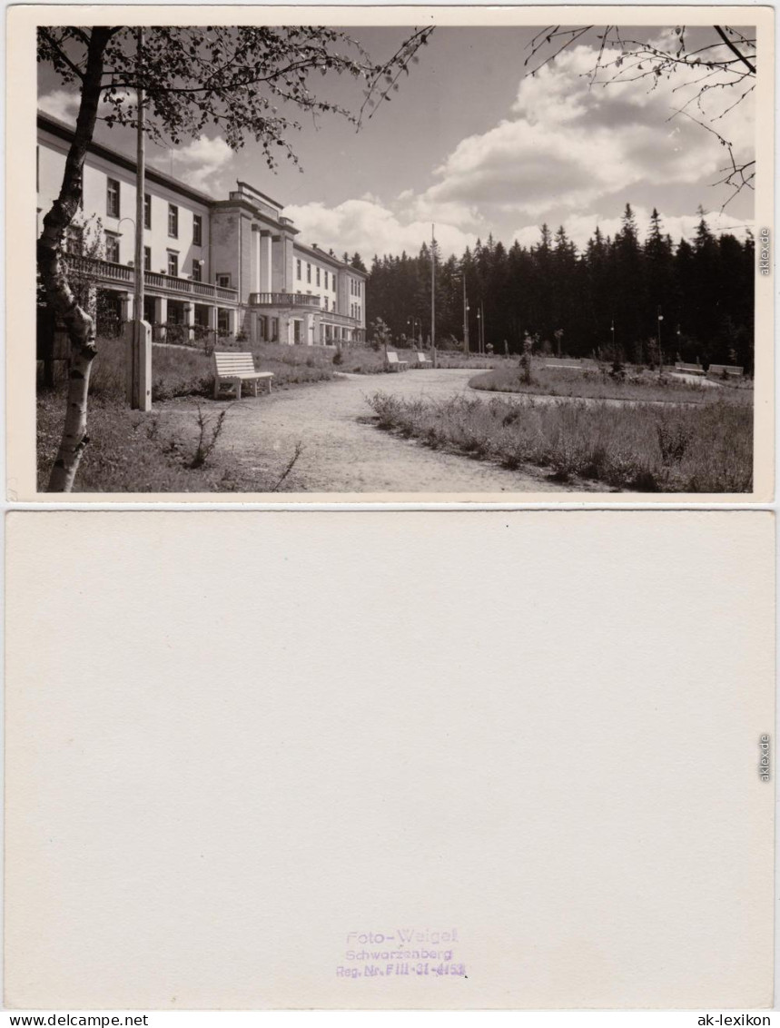 Antonshöhe-Breitenbrunn (Erzgebirge) Kneipp-Sanatorium, Parkbänke 1955 - Breitenbrunn