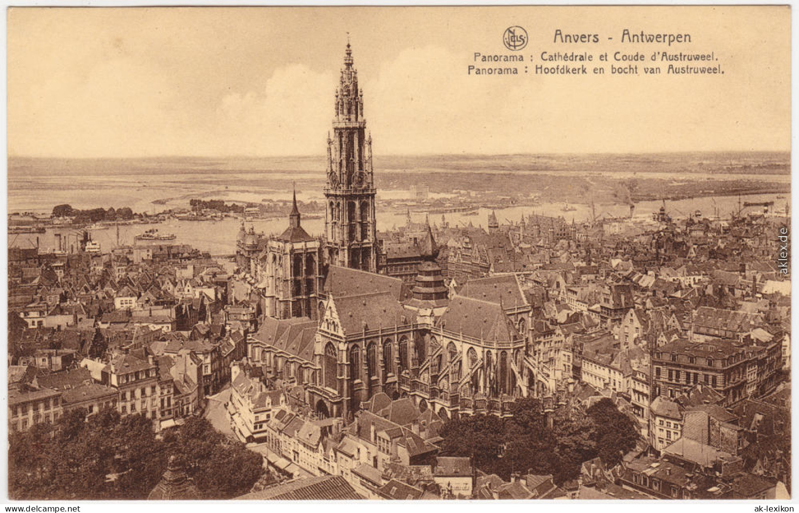Antwerpen Anvers Panorama Mit Kathedrale Zu Antwerpen / Hofkirche 1918 - Sonstige & Ohne Zuordnung
