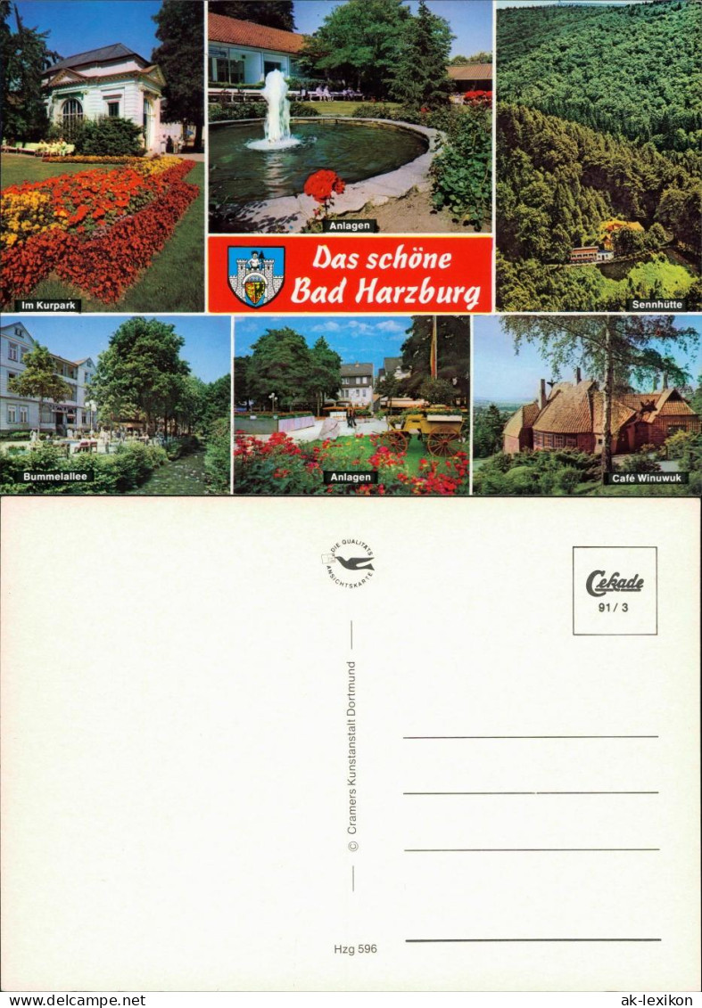 Ansichtskarte Bad Harzburg Kurpark Anlagen, Sennhütte, Cafe Winuwuk 1991 - Bad Harzburg