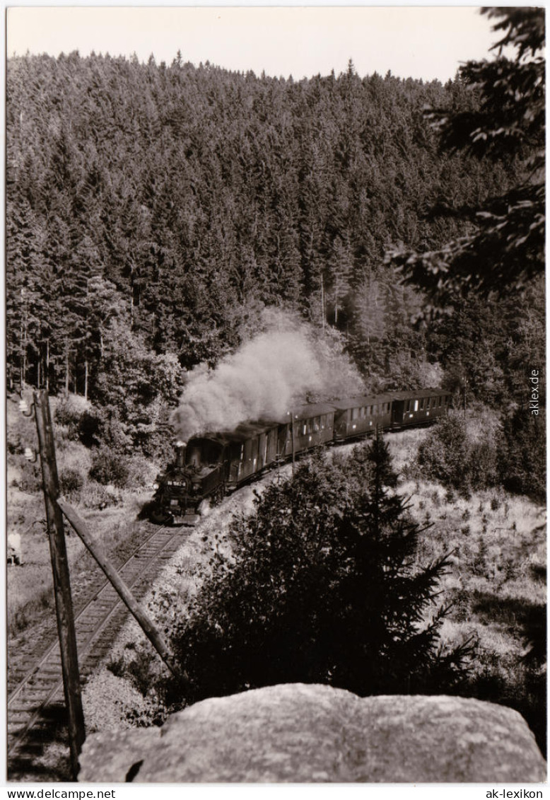 Jöhstadt Erzgebirge Schmalspurbahn Wolkenstein-Jöhstadt Vor Schlössel 1973 1984 - Jöhstadt