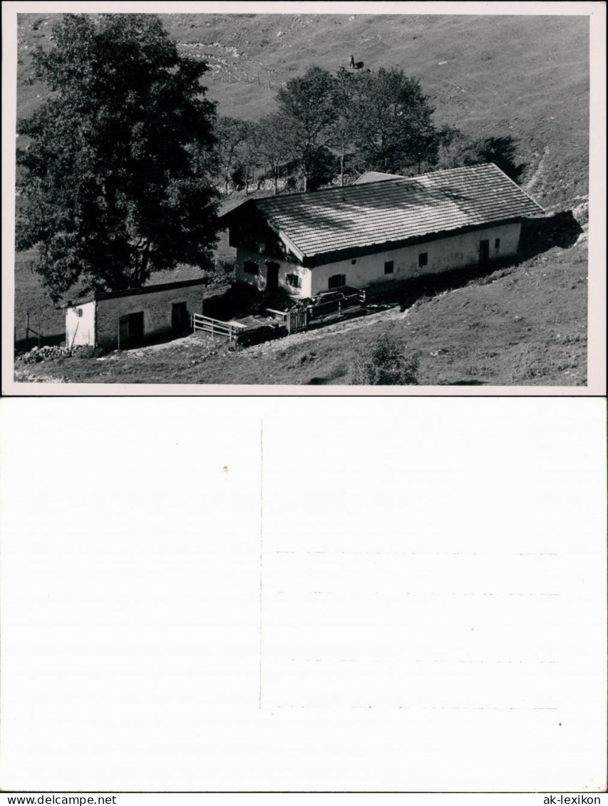 Ansichtskarte  Bauernhof, Baude Mit Bäumen Am Hang 1924 - A Identificar