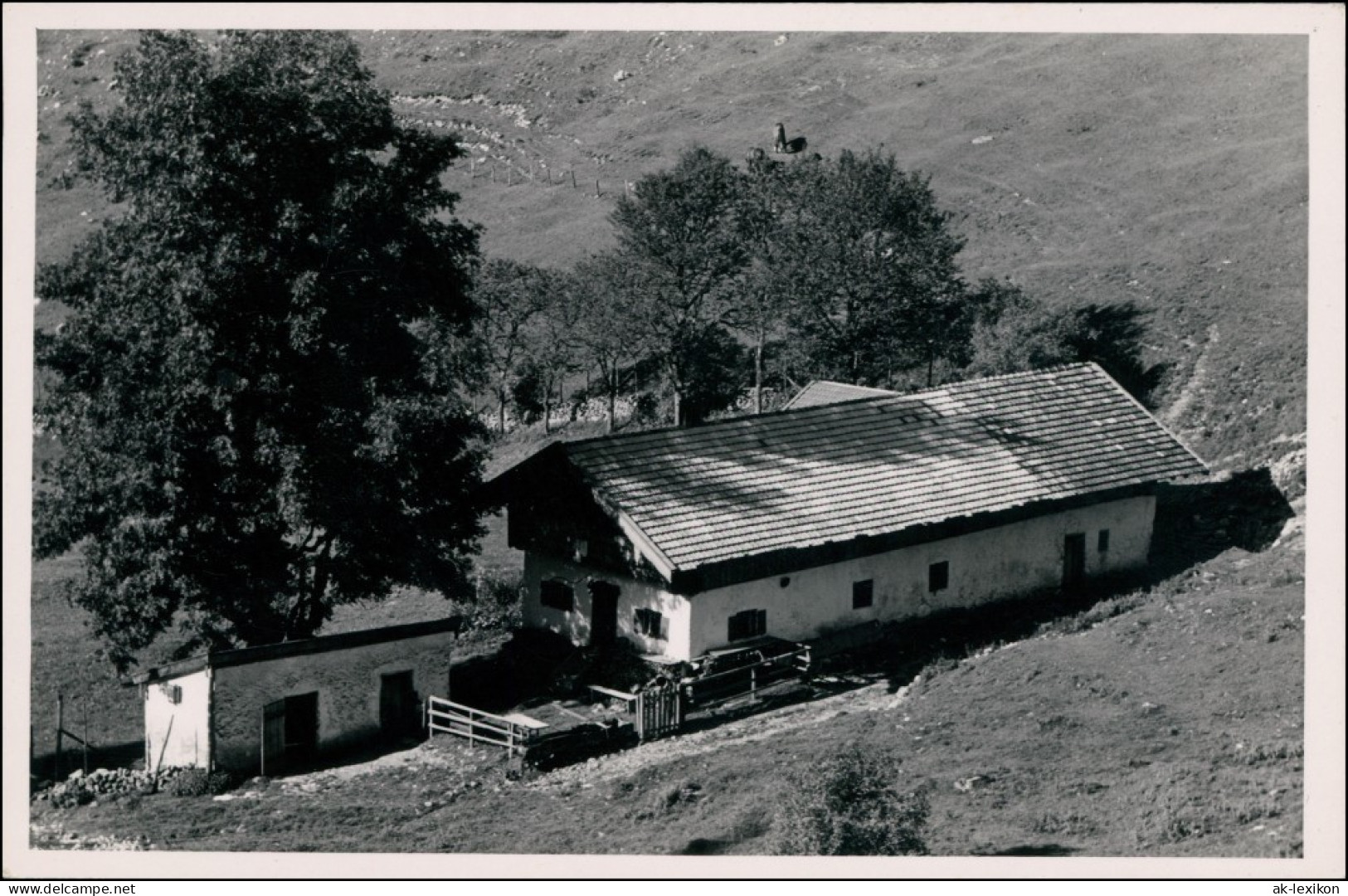 Ansichtskarte  Bauernhof, Baude Mit Bäumen Am Hang 1924 - Zu Identifizieren