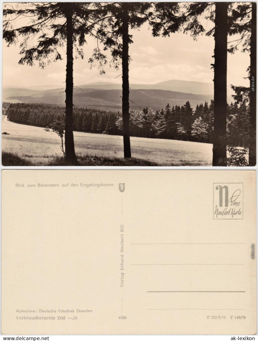 Bärenstein Altenberg (Erzgebirge) Panorama, Blick Vom Bärenstein    1959 - Bärenstein