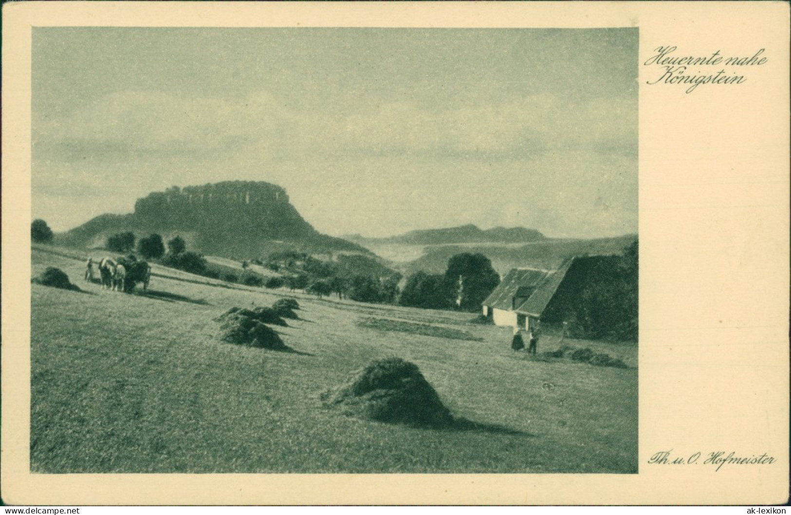 Königstein (Sächsische Schweiz) Heuernte, Bauern Und Pferdekarren 1928 - Königstein (Sächs. Schw.)