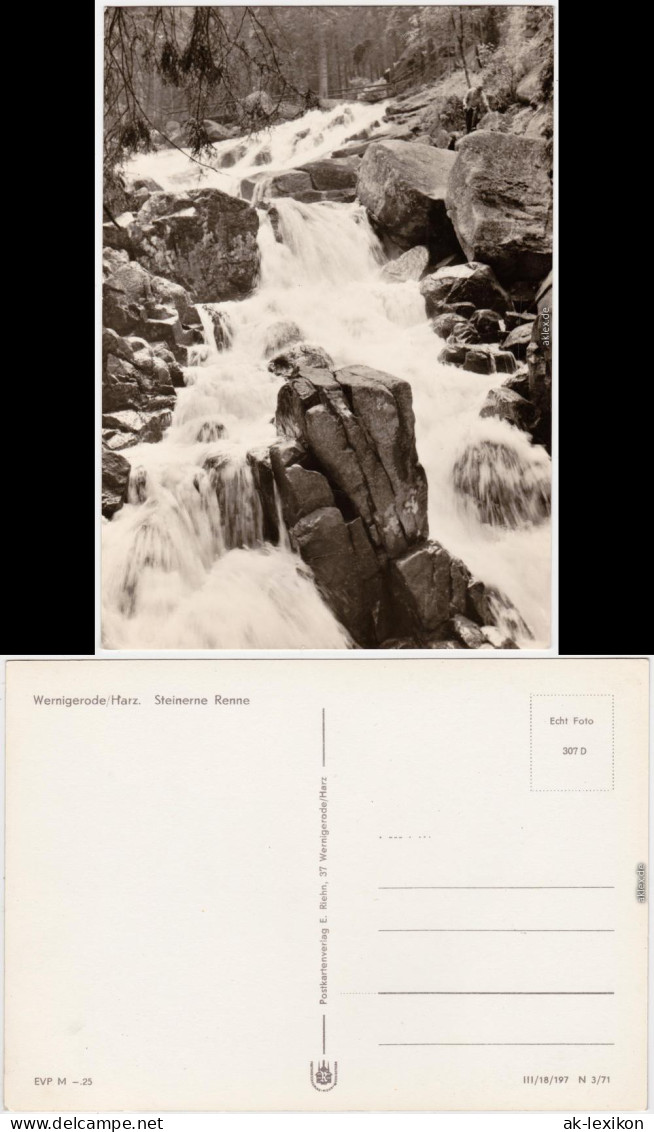 Wernigerode Fluss, Talabschnitt "Steinerne Renne" Foto Anichtskarte 1971 - Andere & Zonder Classificatie