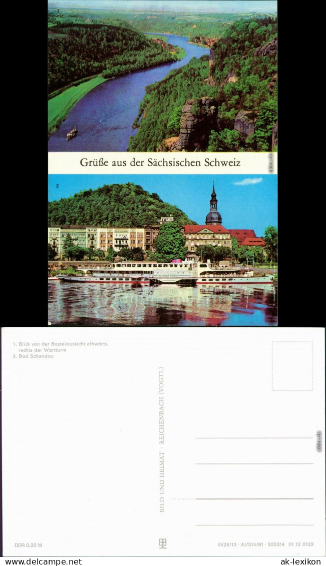 Bad Schandau Blick Von Der Basteiaussicht, Schaufelradschiff Wilhelm Pieck 1984 - Bad Schandau