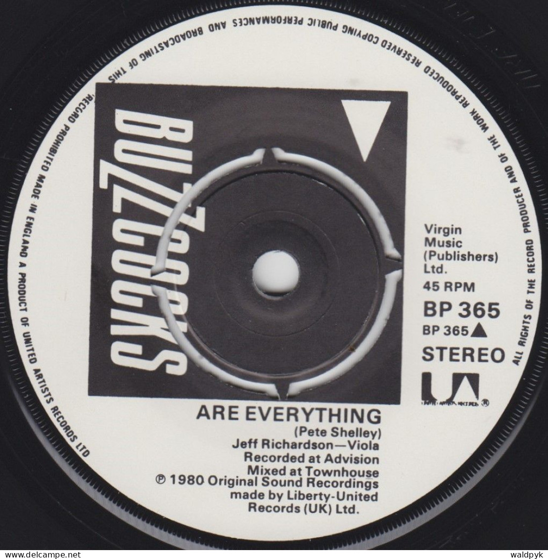 BUZZCOCKS - Are Everything - Other - English Music