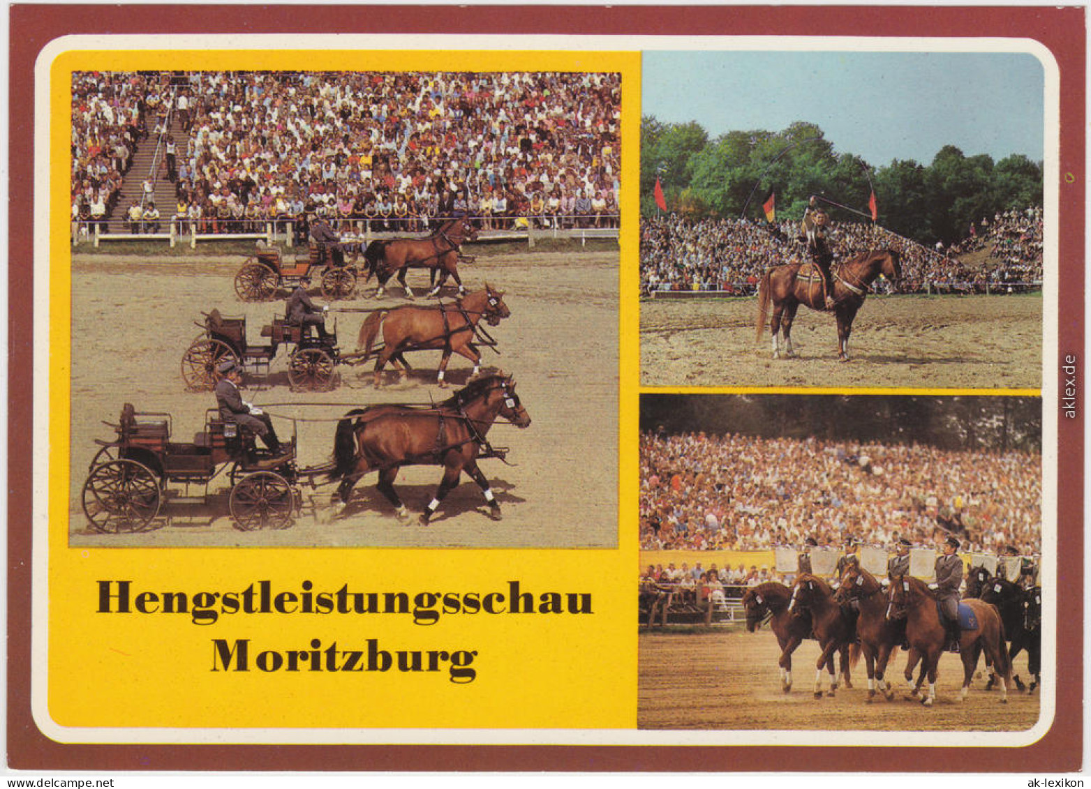 Moritzburg Hengstleistungsschau, Belebt B Radeburg Dresden Ansichtskarte 1986 - Moritzburg