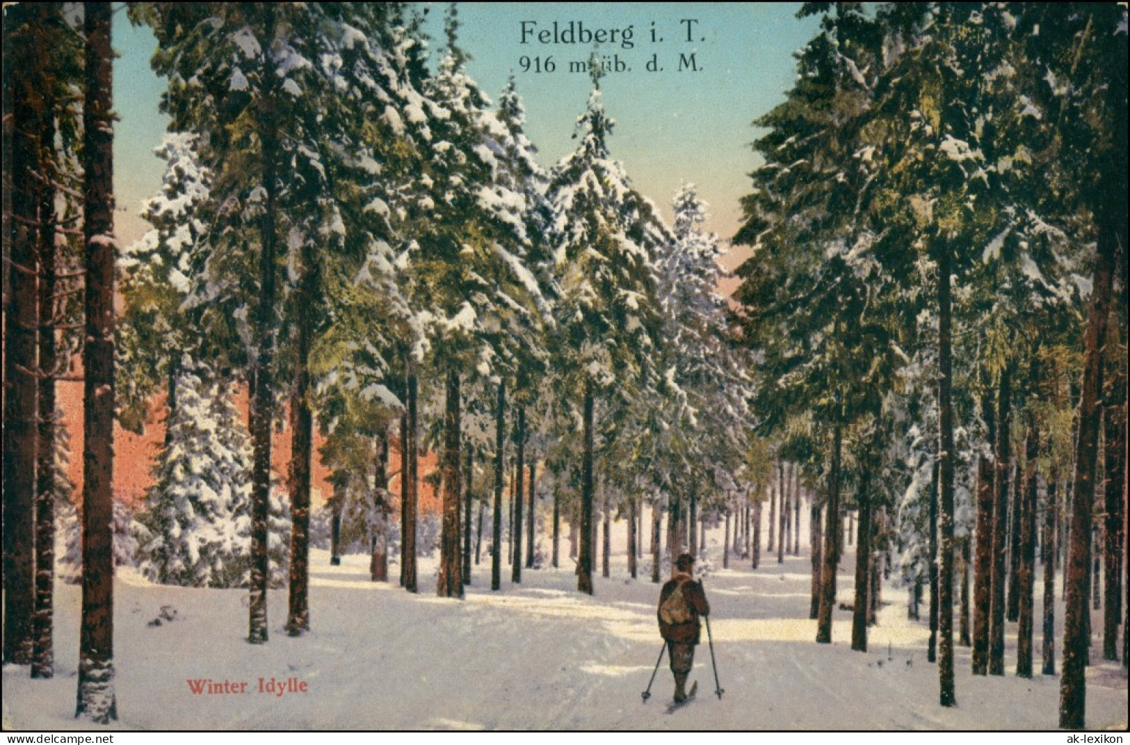 Ansichtskarte Feldberg (Schwarzwald) Winter-Idylle - Skifahrer Im Wald 1914 - Feldberg