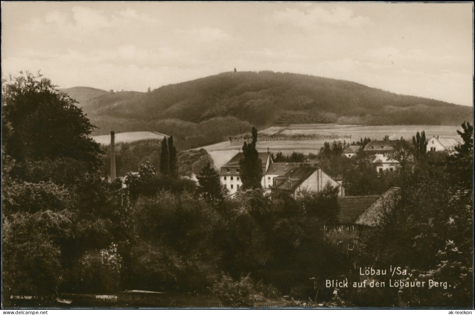 Ansichtskarte Löbau Blick Auf Den Löbauer Berg 1928  - Löbau