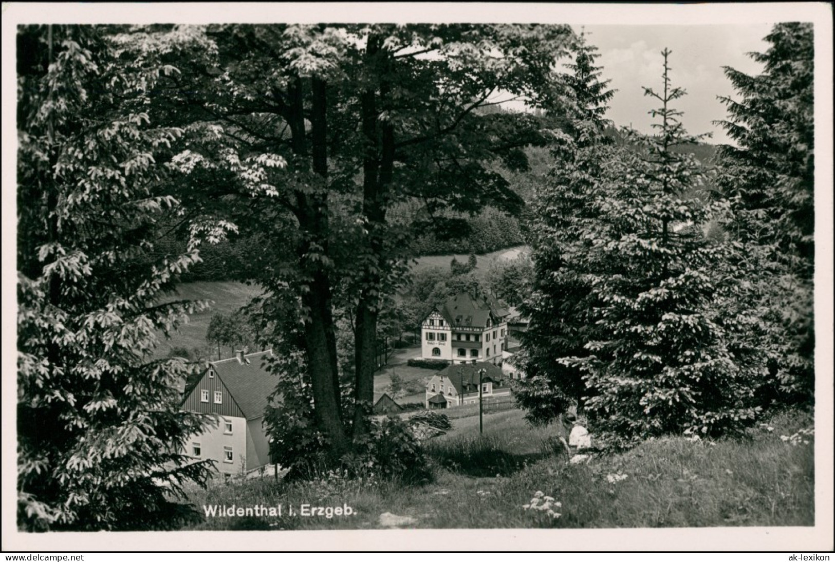 Ansichtskarte Wildenthal-Eibenstock Blick Auf Die Stadt 1932  - Eibenstock