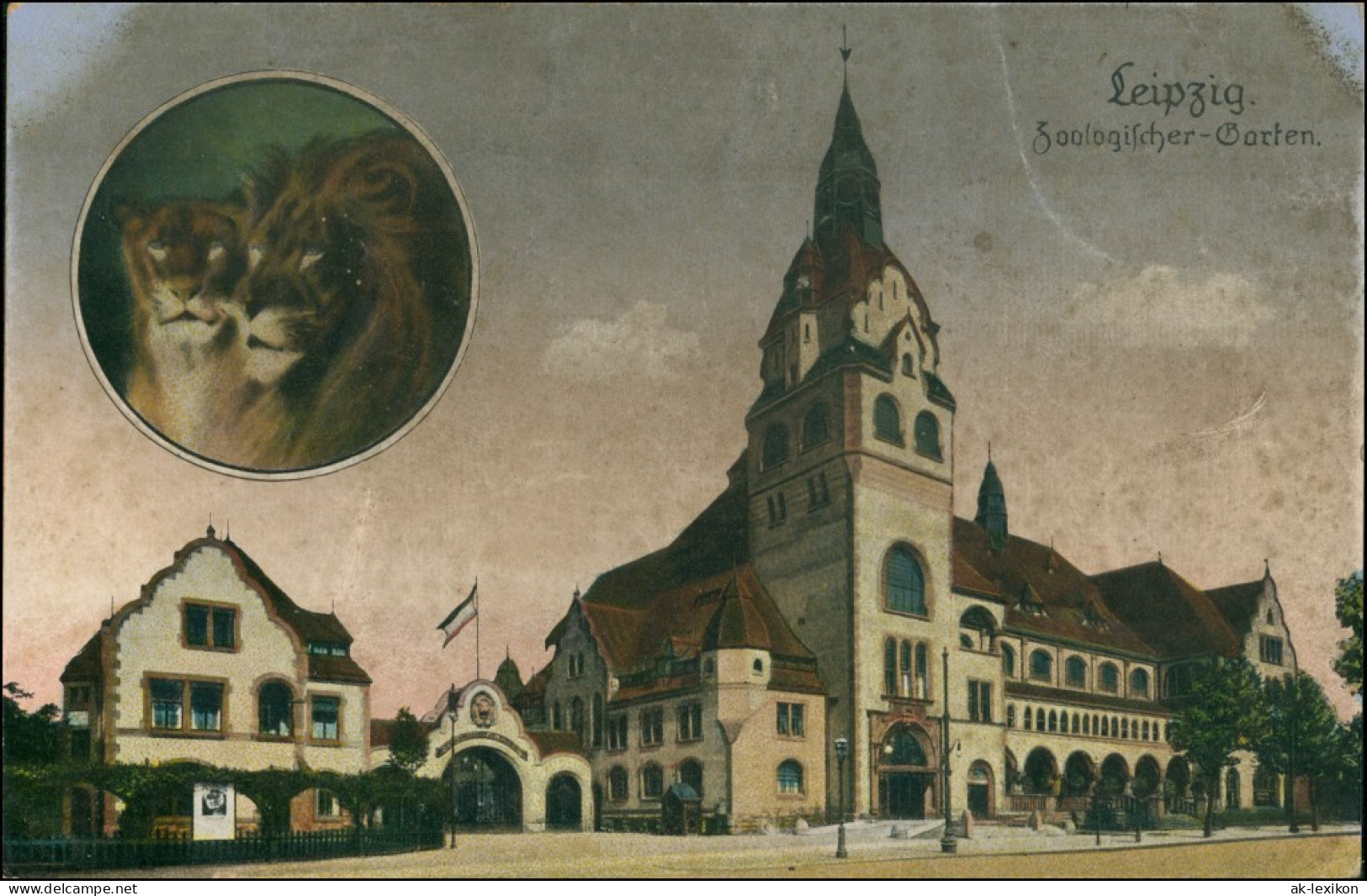 Ansichtskarte Leipzig Zoo Und Löwen 2 Bild 1911  - Leipzig