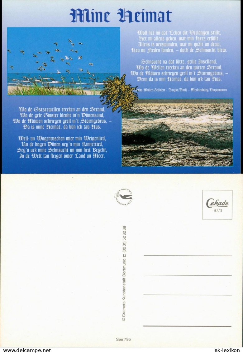 Ansichtskarte Zingst Spruchkarte: Mine Heimat, Meer, Strand Mit Möwen 1997 - Zingst