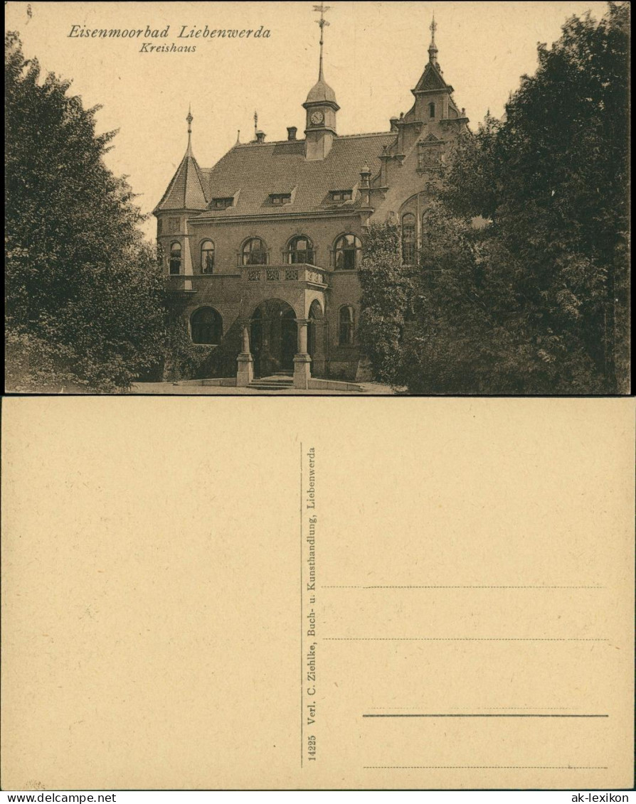 Ansichtskarte Bad Liebenwerda Eisenmoorbad Kreishaus 1918 - Bad Liebenwerda