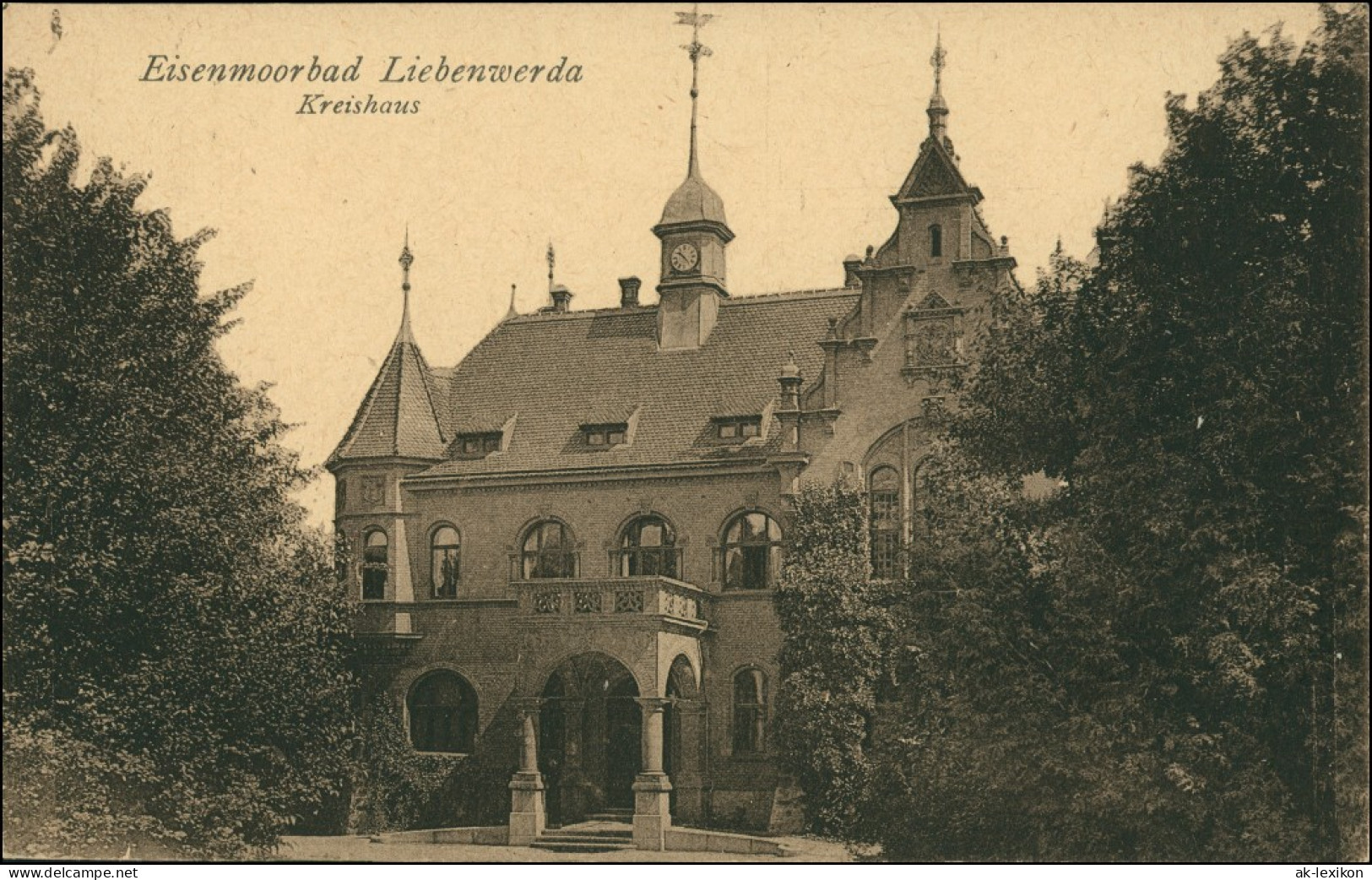 Ansichtskarte Bad Liebenwerda Eisenmoorbad Kreishaus 1918 - Bad Liebenwerda