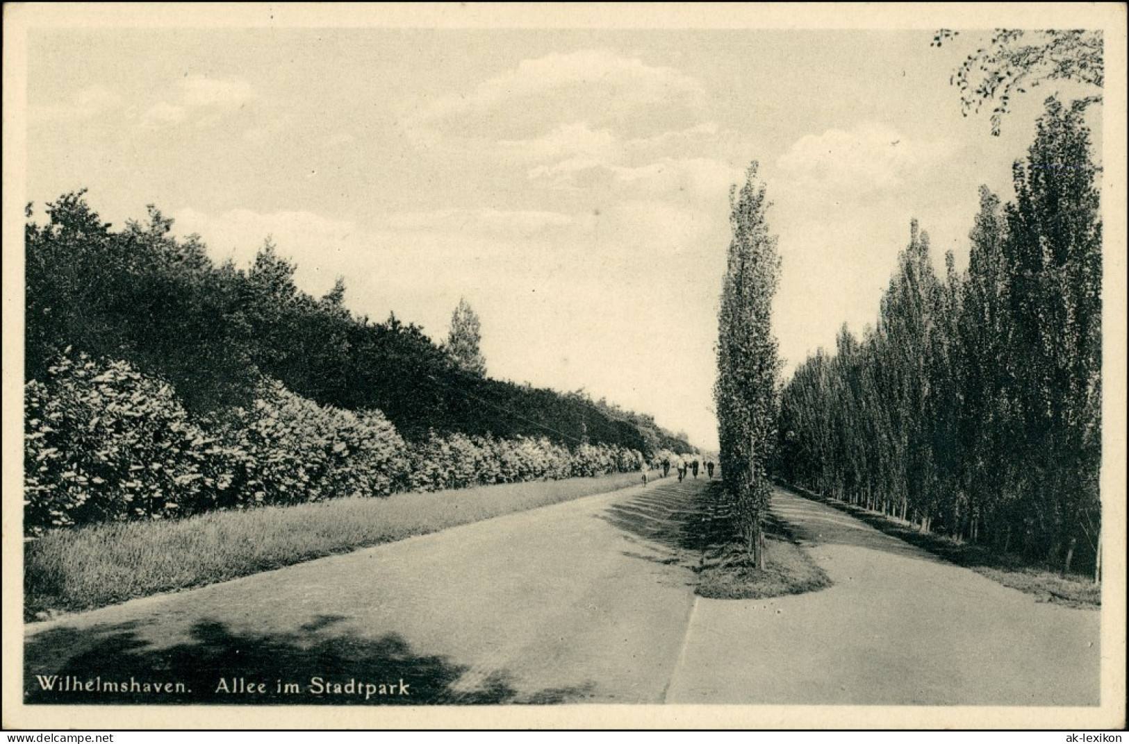 Ansichtskarte Wilhelmshaven Allee Im Stadtpark 1930 - Wilhelmshaven
