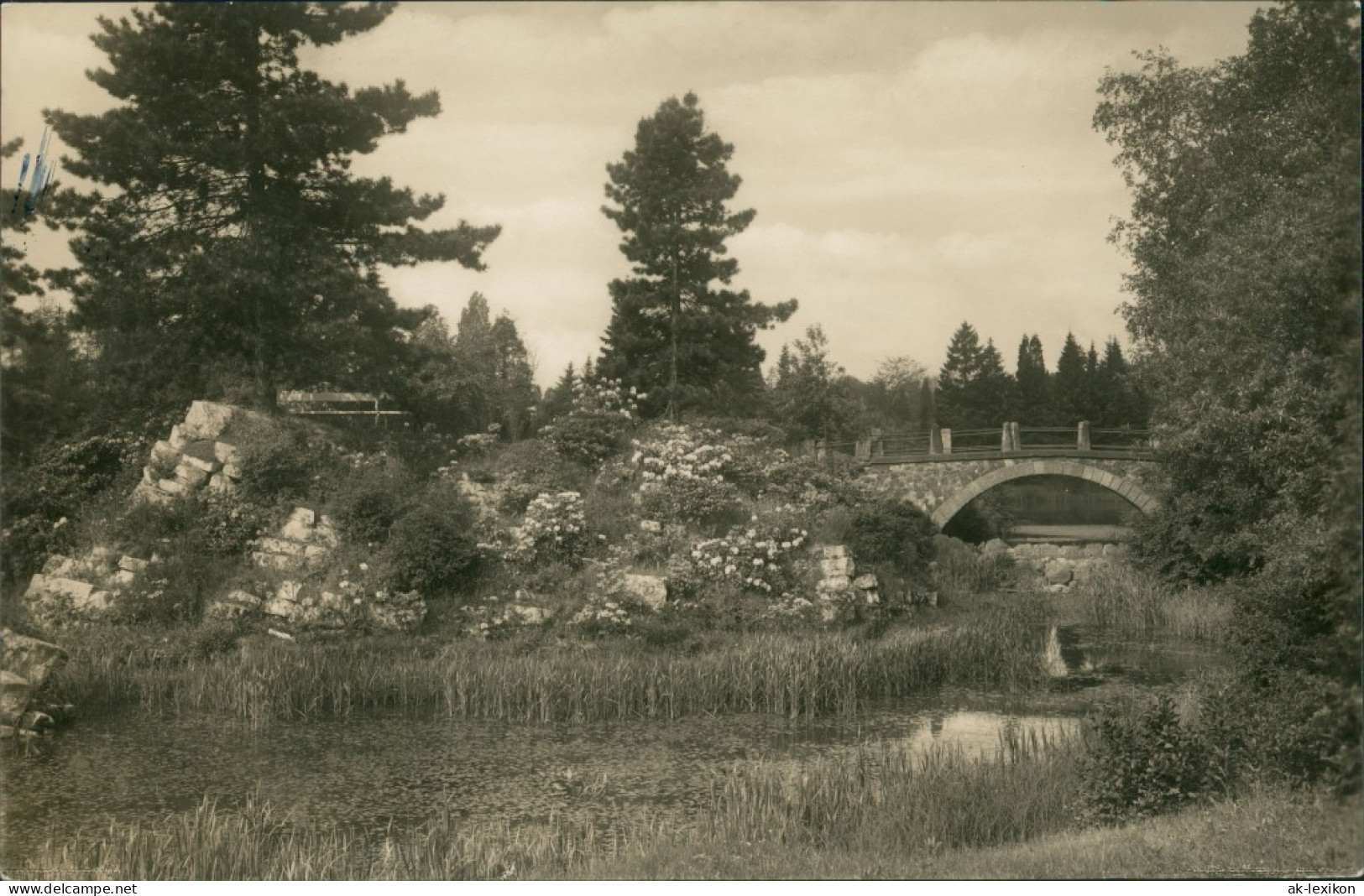 Ansichtskarte Dahlem-Berlin Botanischer Garten, Brücke 1928 - Dahlem