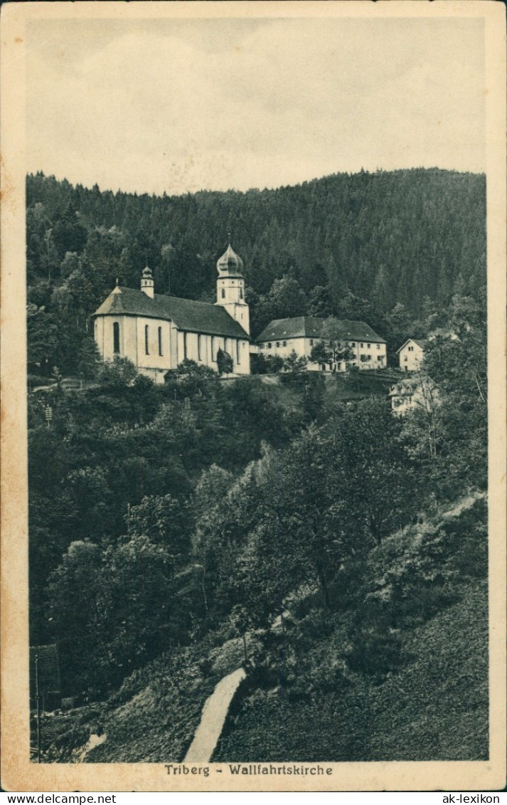 Triberg Im Schwarzwald Wald Partie A.d. Wallfahrtskirche Kirche 1926 - Triberg