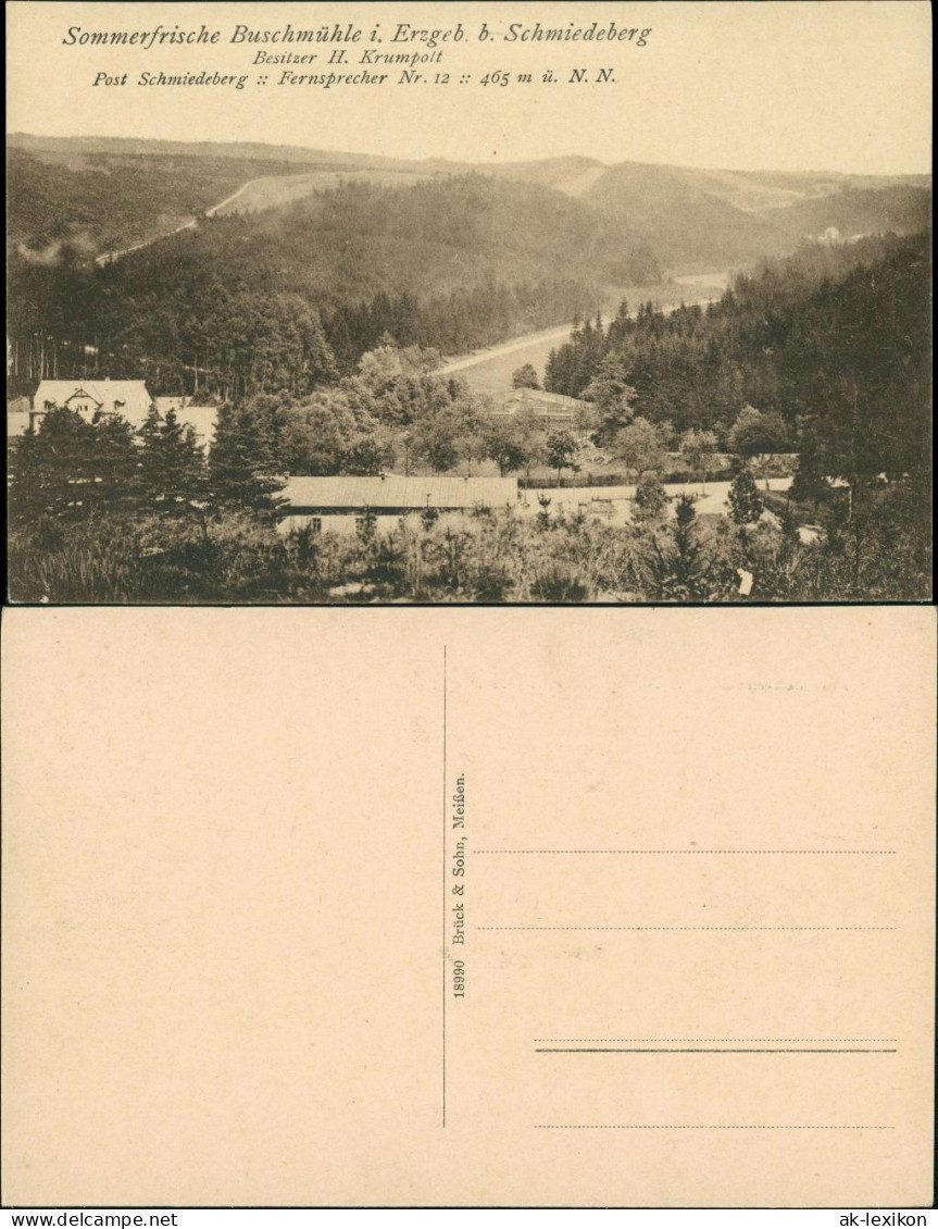 Schmiedeberg (Erzgebirge)-Dippoldiswalde Partie An Der Buschmühle 1917 - Schmiedeberg (Erzgeb.)