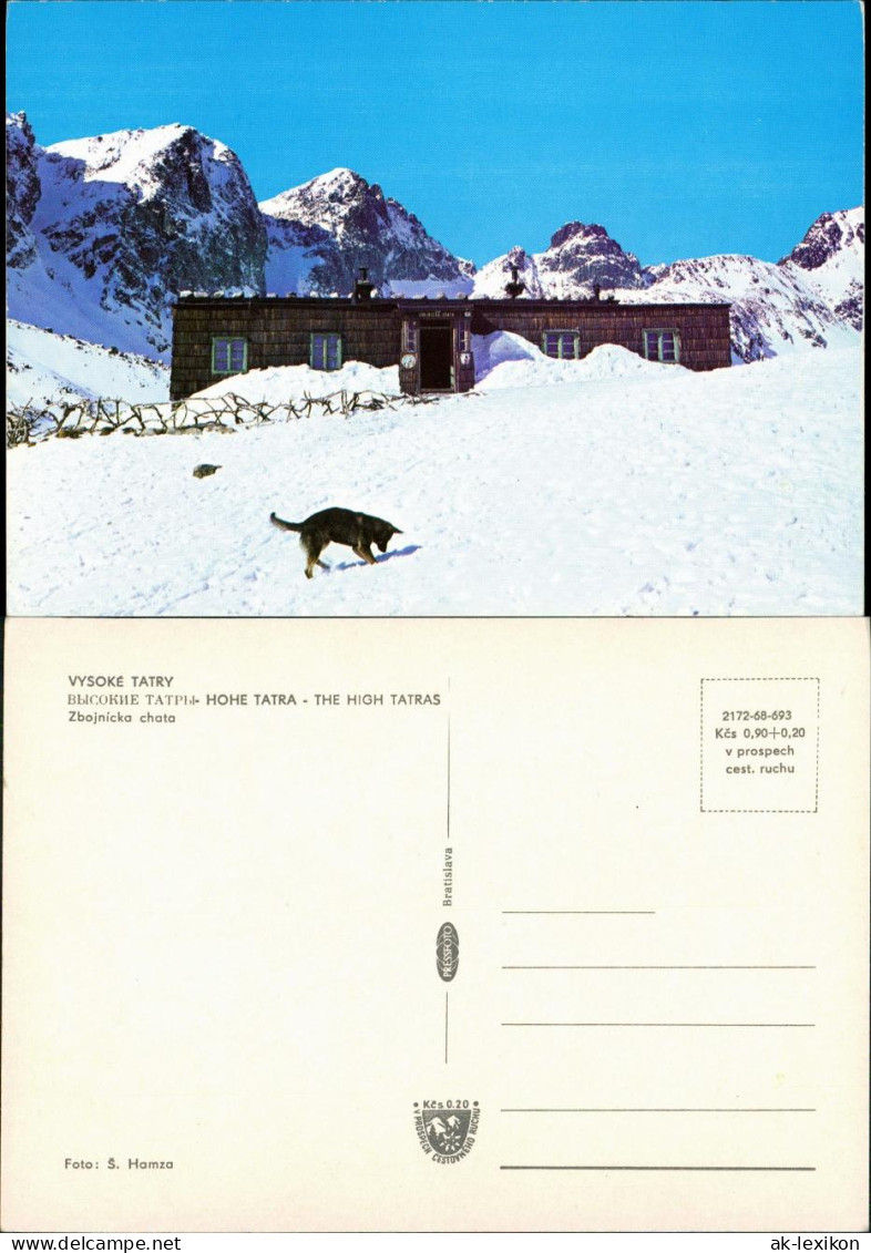 Vysoké Tatry Umland-Ansicht Berghütte Im Schnee Wühlender Hund 1970 - Slowakei