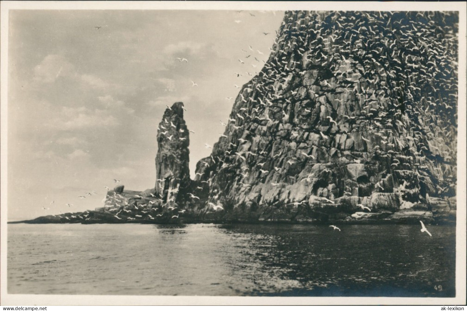 Foto Norwegen Allgemein Fuglebjerg Vogelberg Norge 1928 Privatfoto - Norwegen