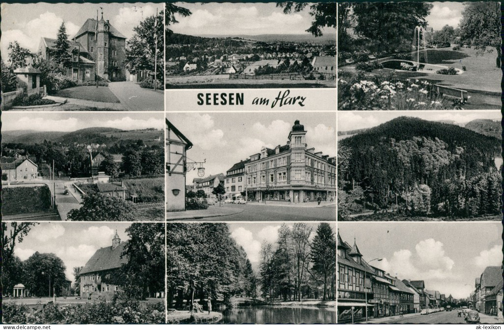 Ansichtskarte Seesen MB: Stadt, Park, Straße 1964 - Seesen