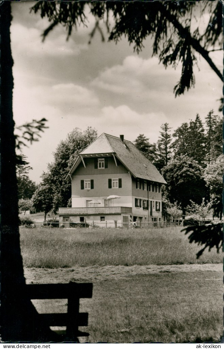 Ansichtskarte Zwieselberg-Freudenstadt Landhaus Armbruster 1961 - Freudenstadt