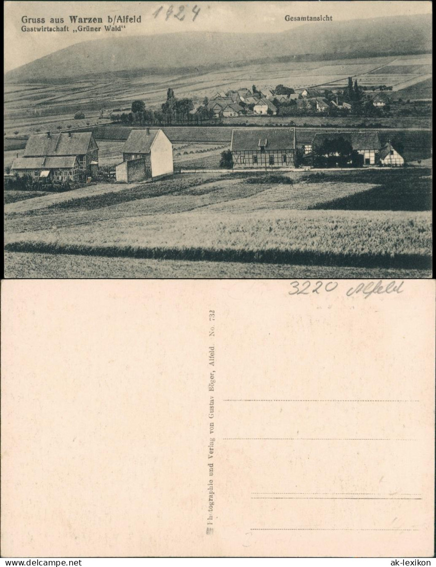 Ansichtskarte Warzen-Alfeld (Leine) Gastwirtschaft Grüner Wald - Totale 1916 - Alfeld