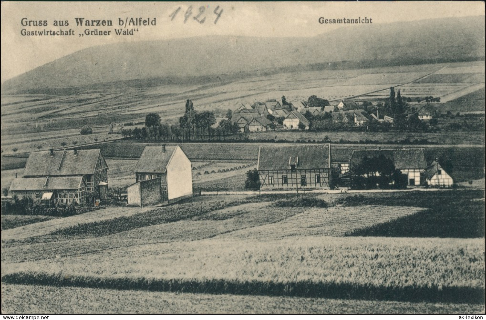 Ansichtskarte Warzen-Alfeld (Leine) Gastwirtschaft Grüner Wald - Totale 1916 - Alfeld