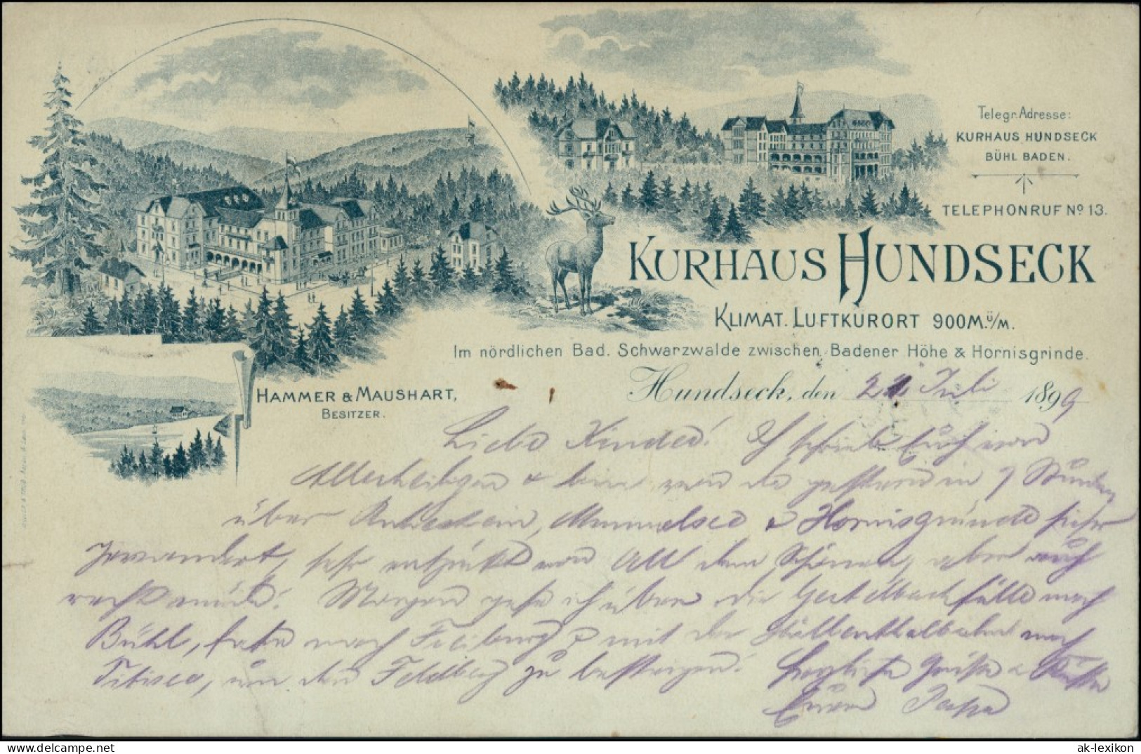 Ansichtskarte Litho AK Bühl (Baden) Kurhaus Hundseck MB 1899 - Buehl