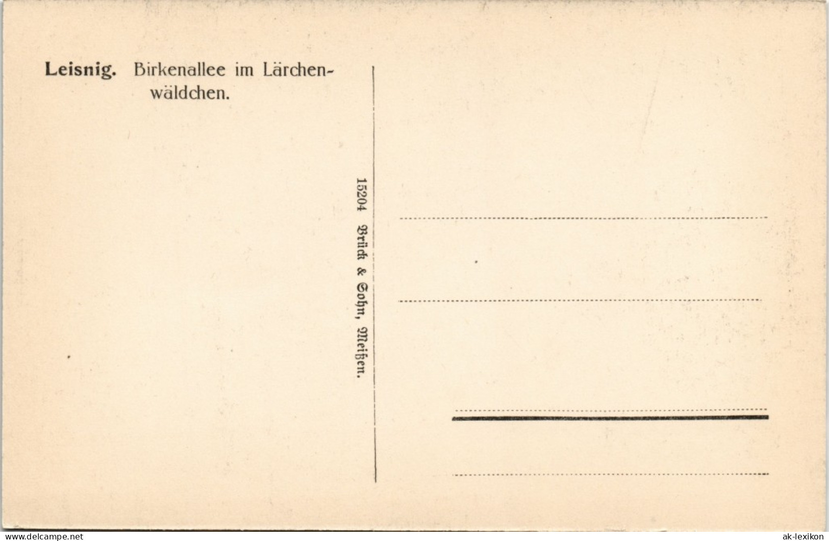 Ansichtskarte Leisnig Birkenallee Im Lärchenwäldchen 1912 - Leisnig
