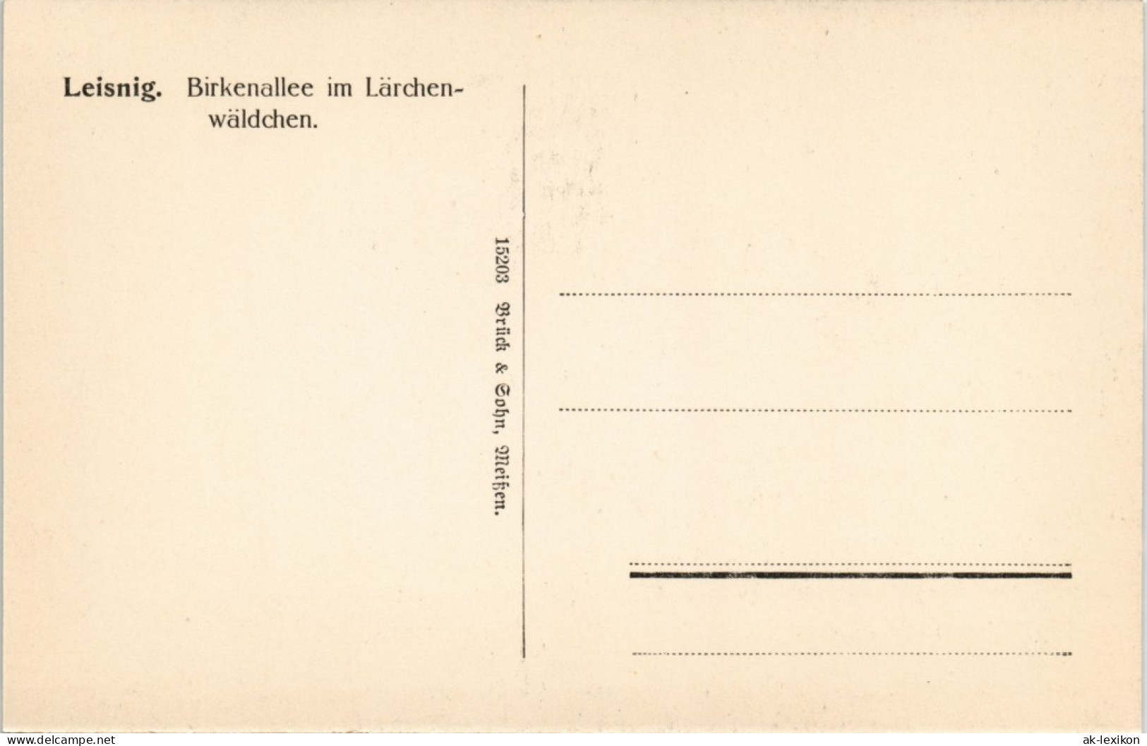 Ansichtskarte Leisnig Birkenallee Im Lärchenwäldchen. 1913 - Leisnig