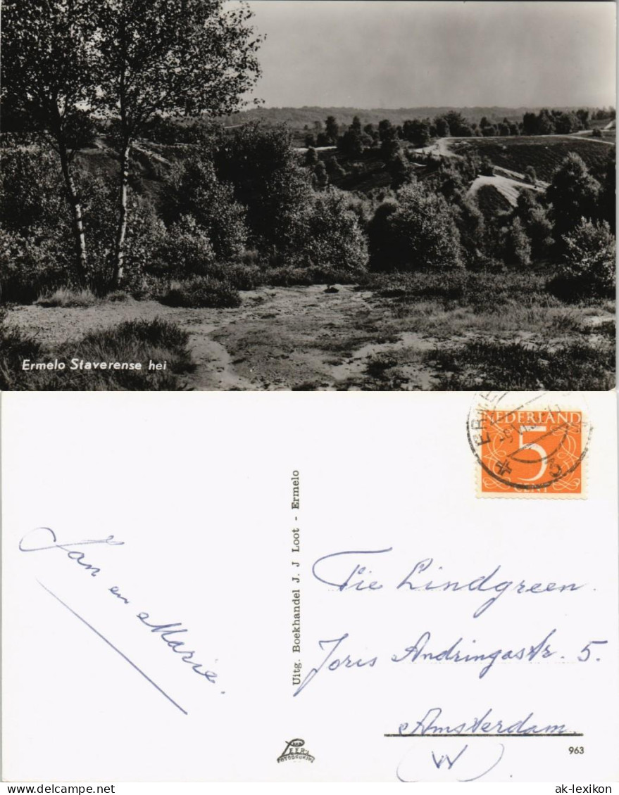 Postkaart Ermelo (Gelderland) Ermelo Staverense Hei, Landschaft 1960 - Otros & Sin Clasificación