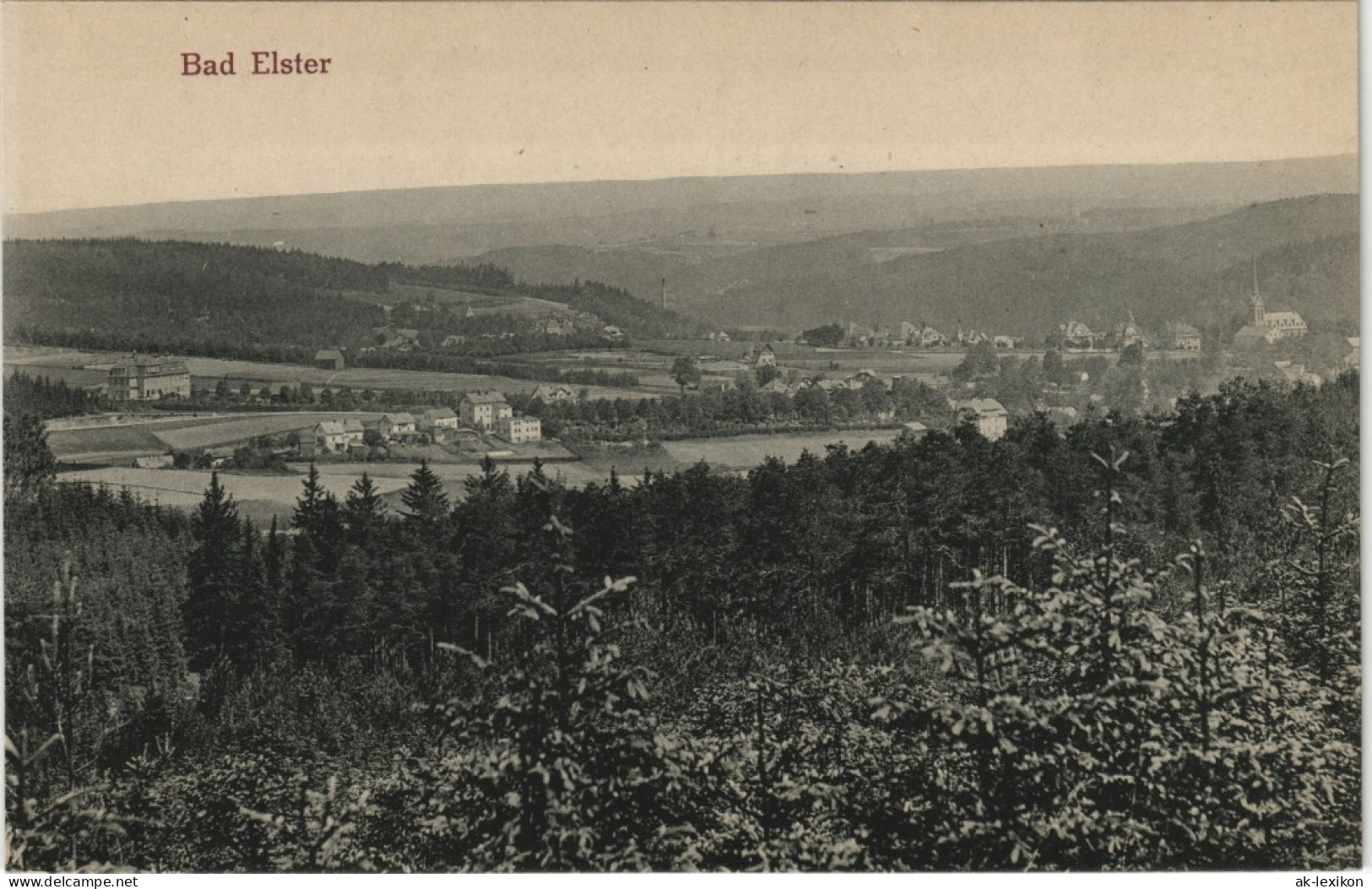 Ansichtskarte Bad Elster Blick Auf Die Stadt 1913 - Bad Elster