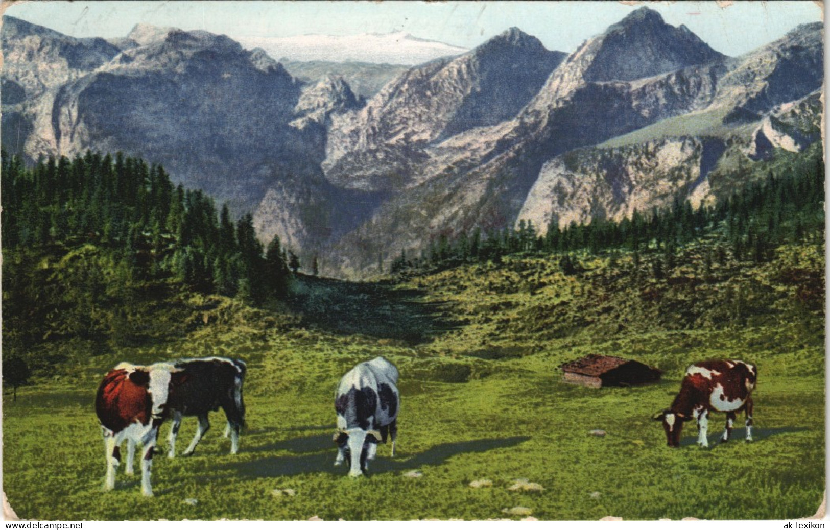 Ansichtskarte  Reklame & Werbung Germix Schokolade - Kühe Alpen 1922 - Werbepostkarten