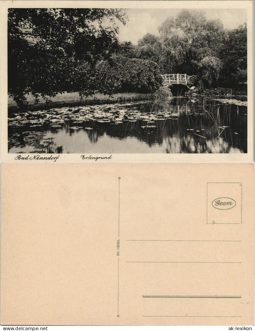Ansichtskarte Bad Nenndorf Brücke - Erlengrund 1925 - Bad Nenndorf