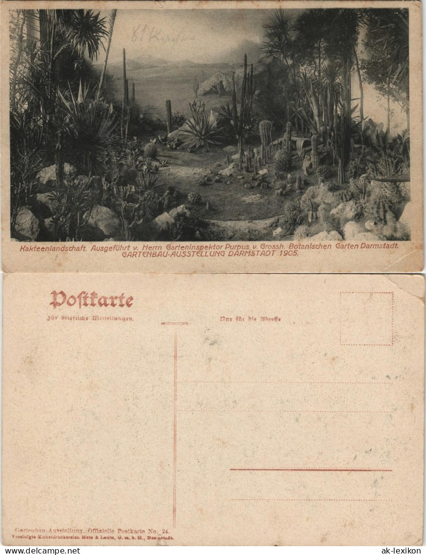 Ansichtskarte Darmstadt GARTENBAU-AUSSTELLUNG - Kakteenlandschaft 1905 - Darmstadt