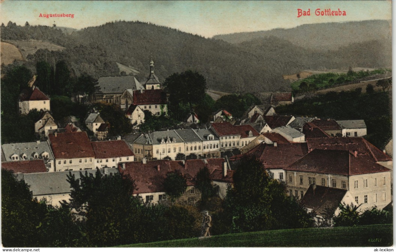 Ansichtskarte Bad Gottleuba-Berggießhübel Stadtpartie Coloriert 1907 - Bad Gottleuba-Berggiesshübel