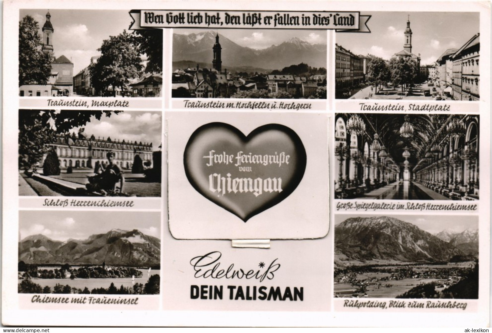 Ansichtskarte Traunstein Chiemgau - Getrocknetes Edelweiß 1964 - Traunstein